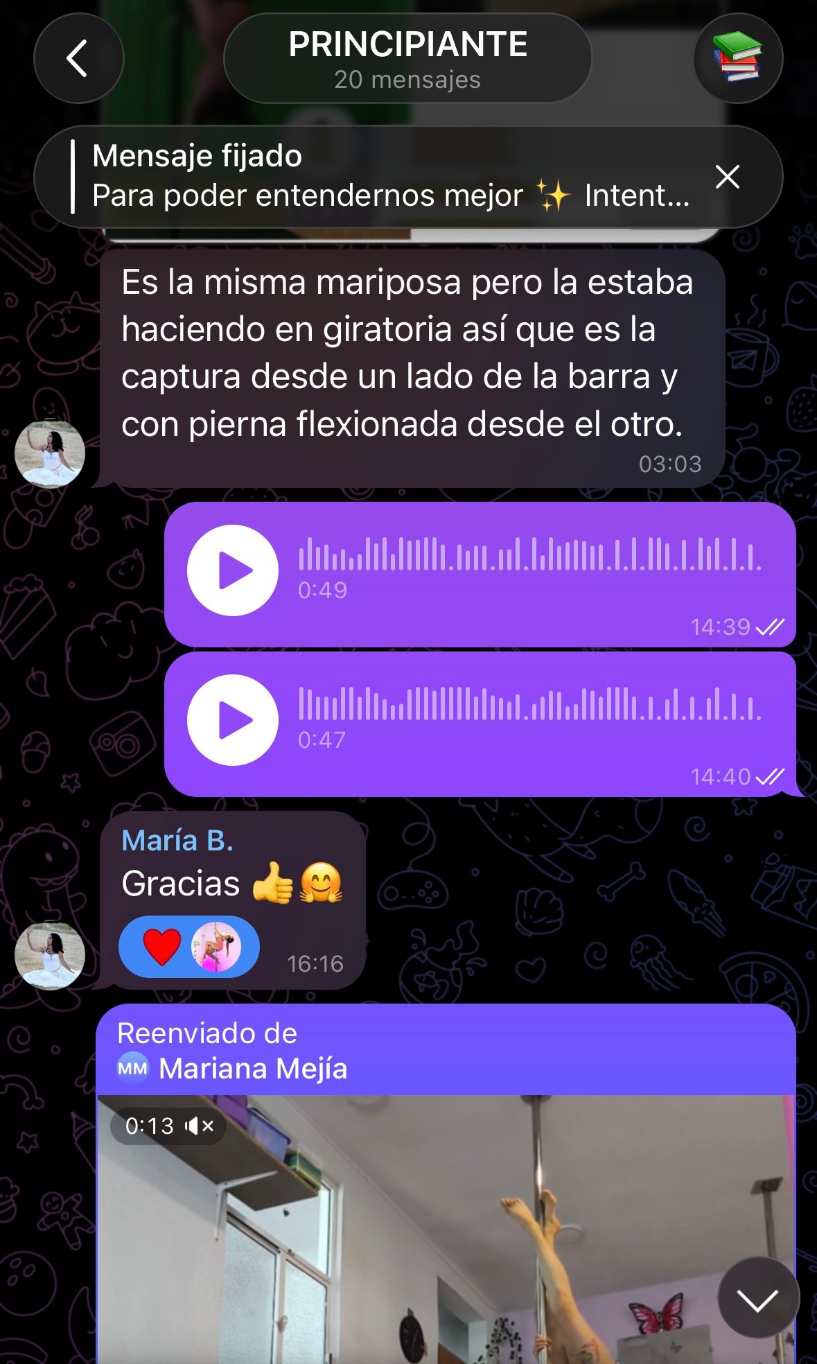 Comunidad Telegram